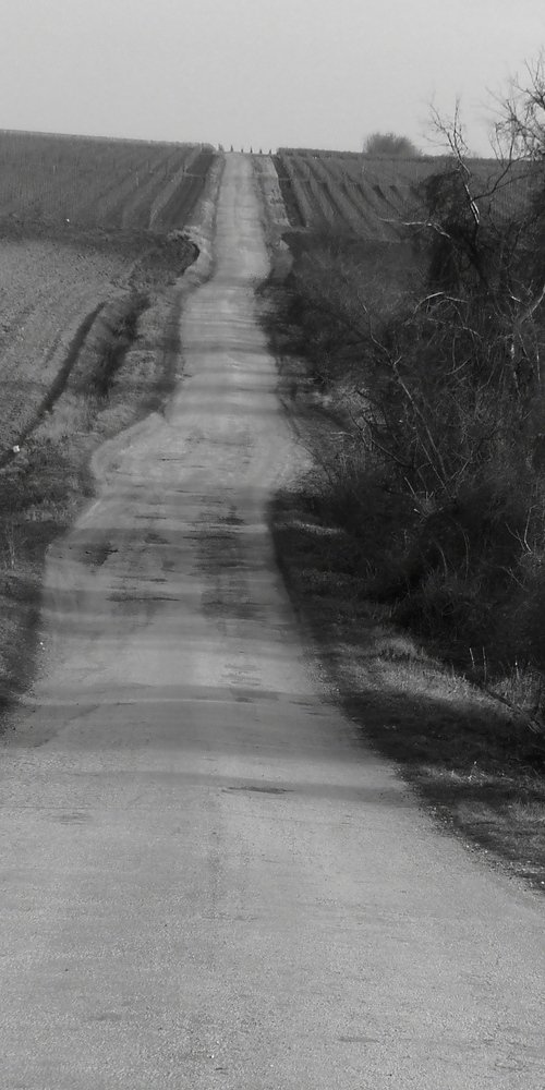 The road that separates...