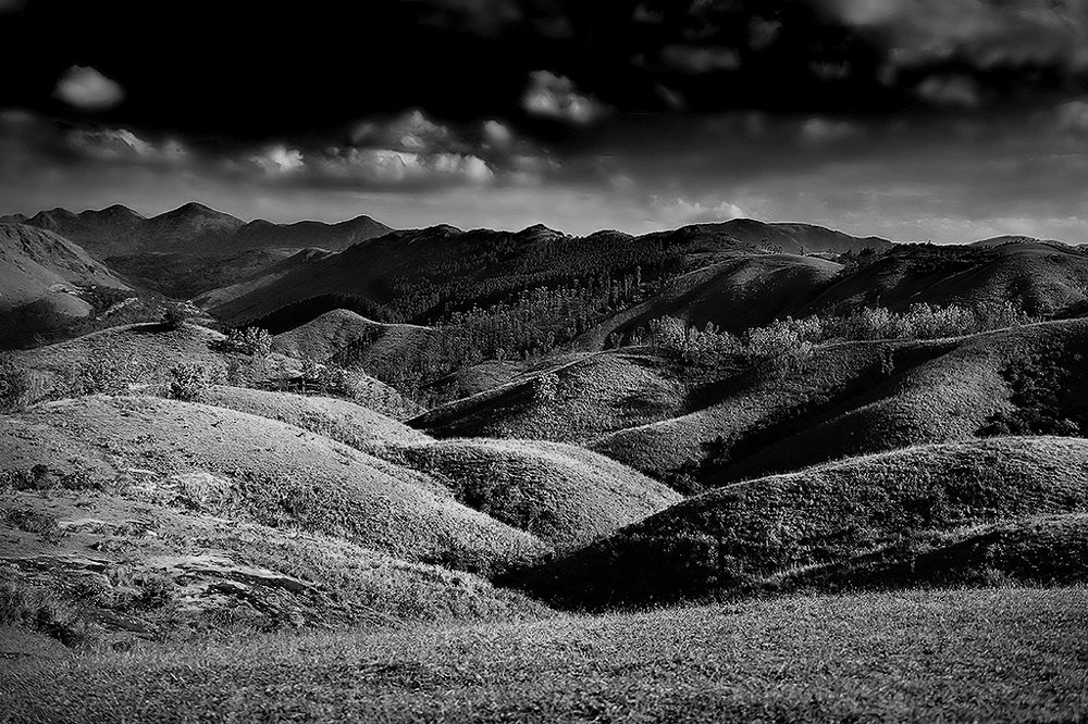 In the realm of nature