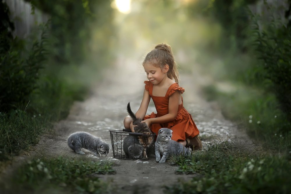 Фотография автора Журавель Саша