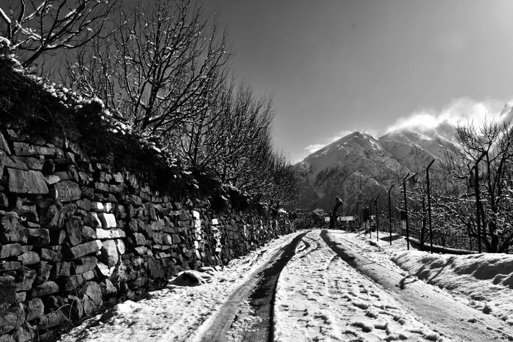 Black and white landscape