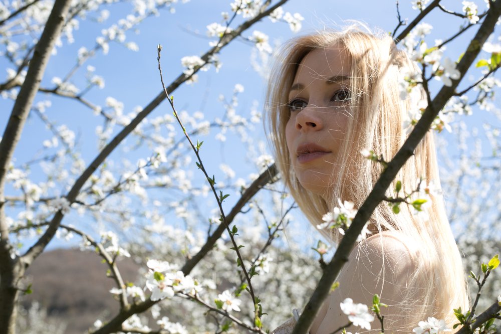 spring