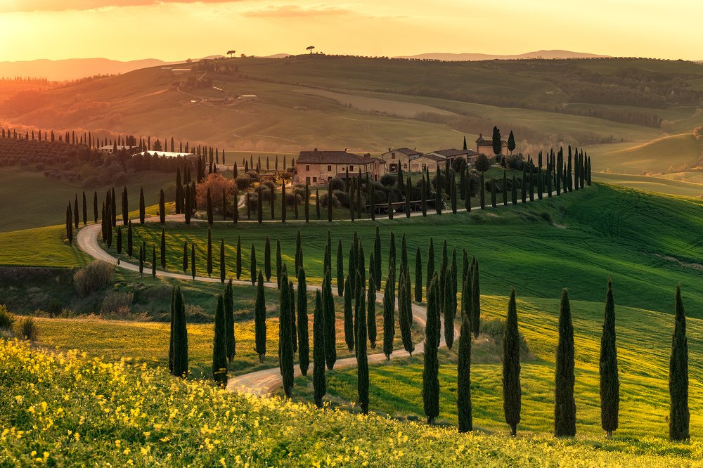 Golden Light of Baccoleno