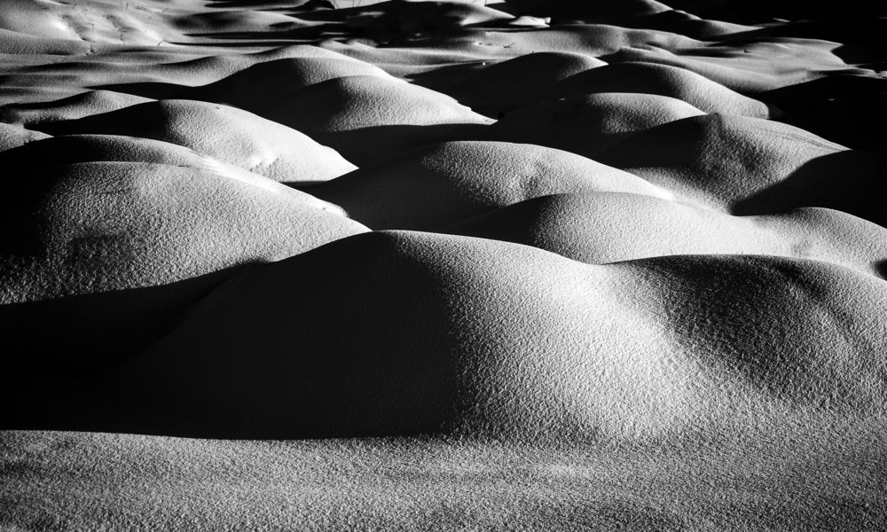 Photograph by Adl Abdolahi