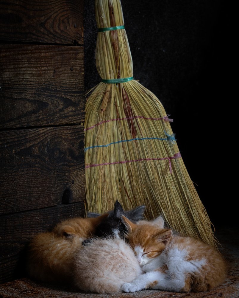 Photograph by Сергей Басов