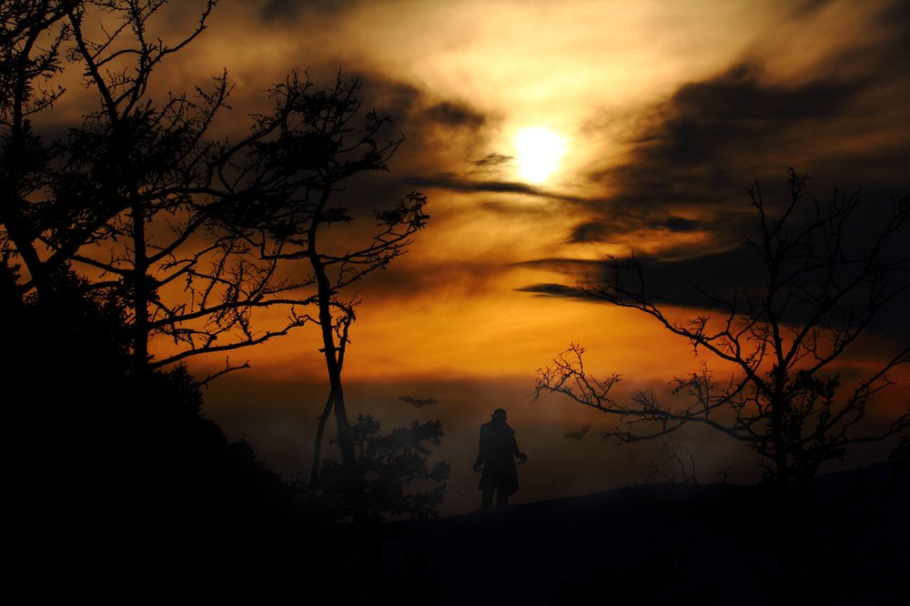 Ночные гости...