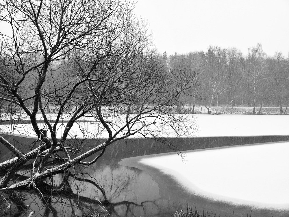 Первый снег