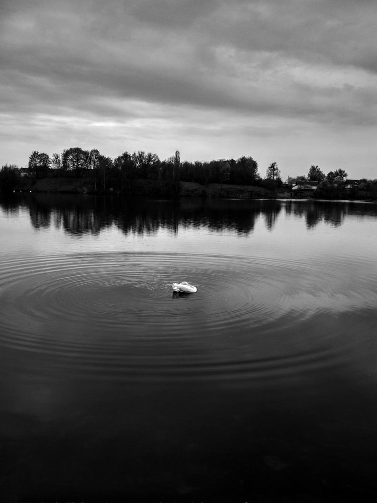 Photo #3183329