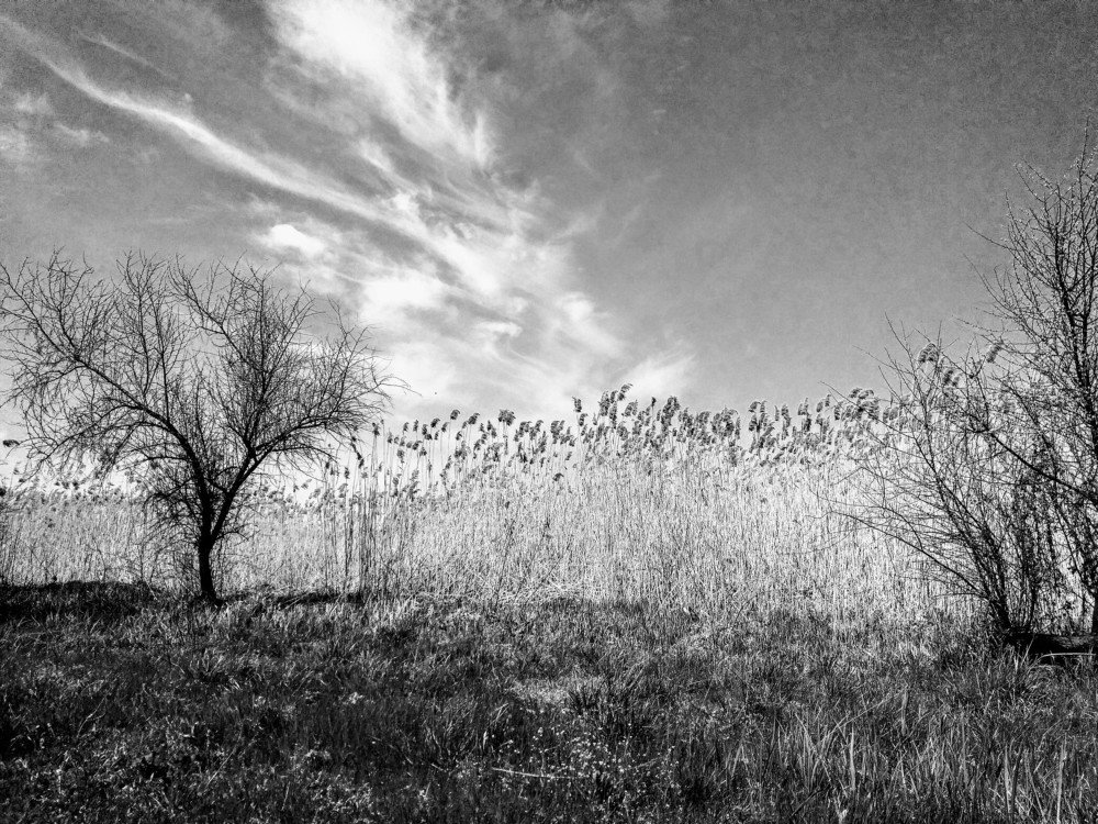 Photograph by Денис Лащ