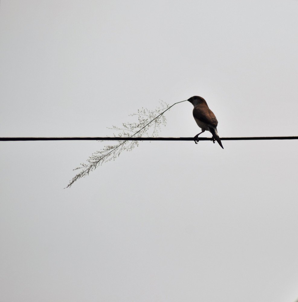 Beginning of new life