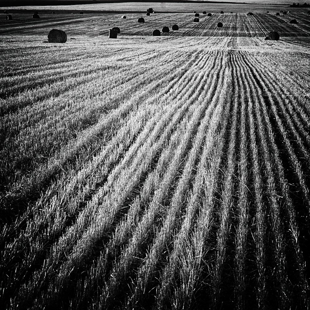 Линии жизни