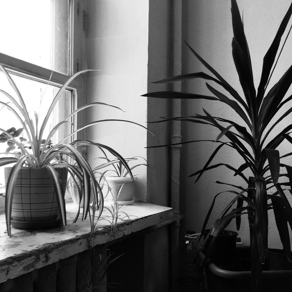 Photograph by Alisa Chepurina