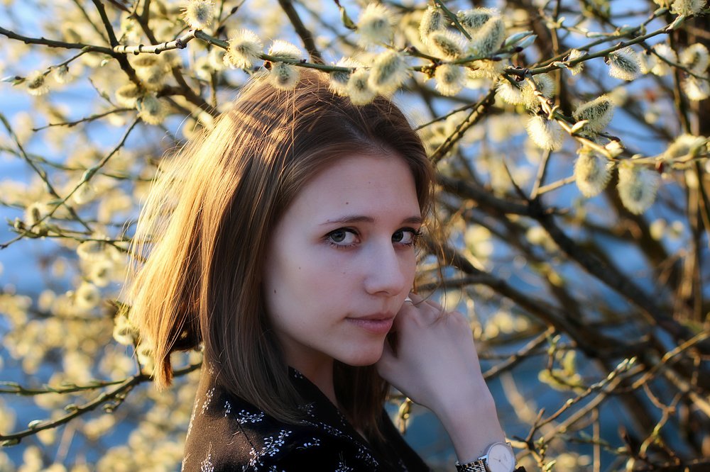 Весна Вероники