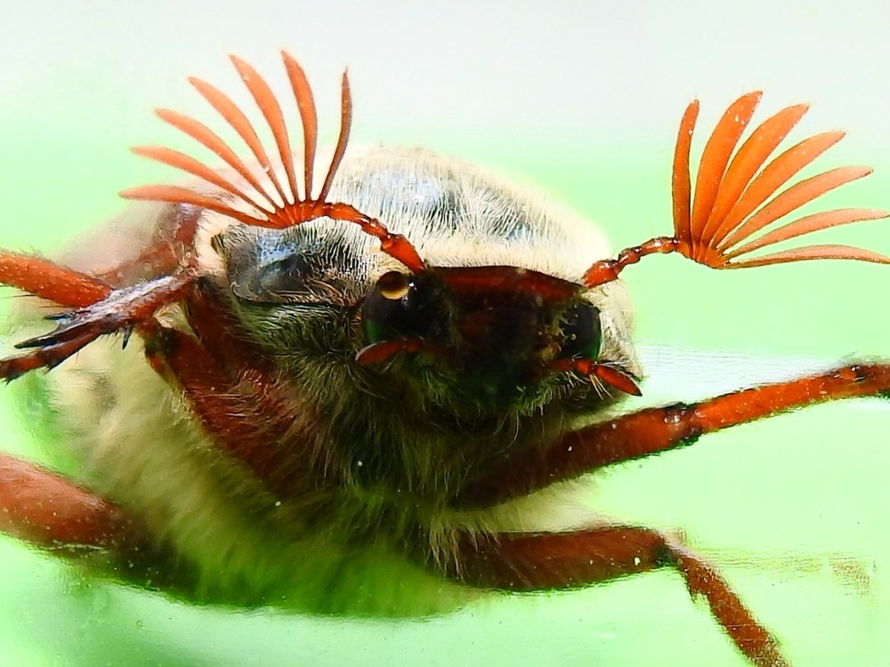 Photograph by Олександр Максимюк