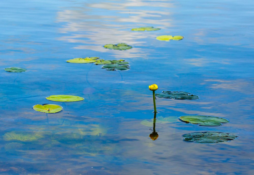 Photograph by Julia Kozemjakina