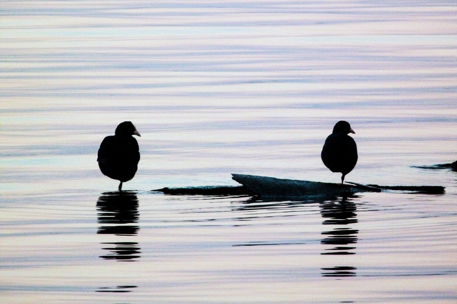 Enjoying sunset