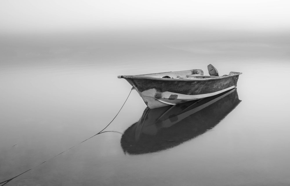 Photograph by fares Moghadam