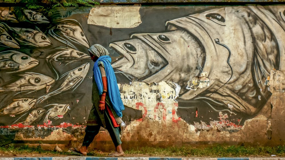 Life in painting traps