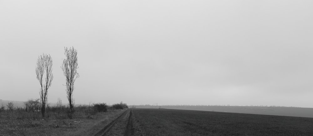 Photograph by Евгений Русу