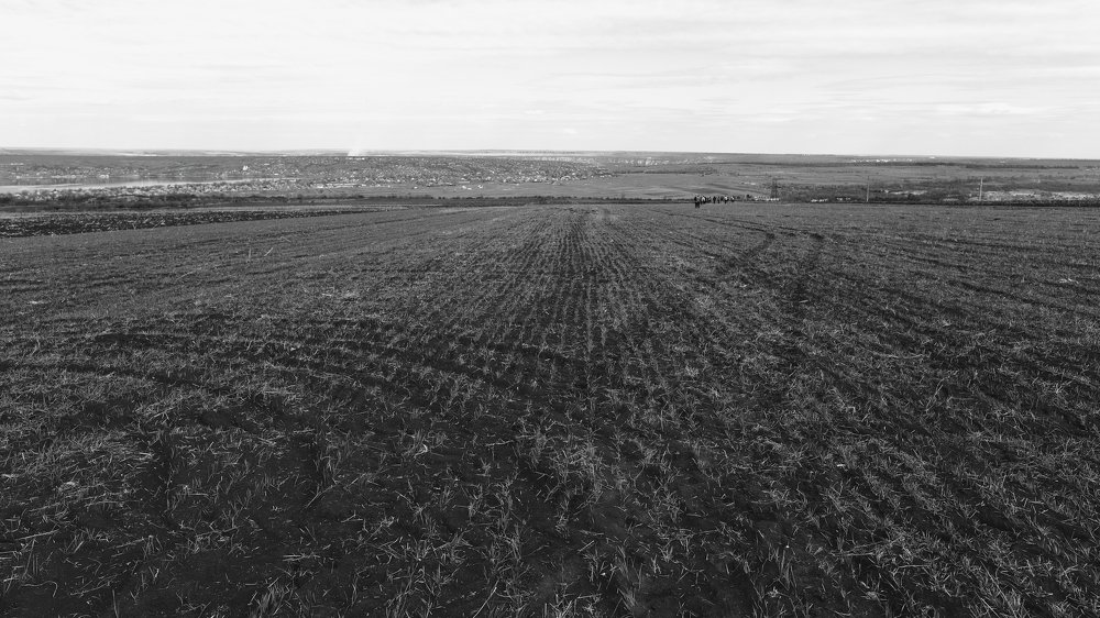 Photograph by Евгений Русу