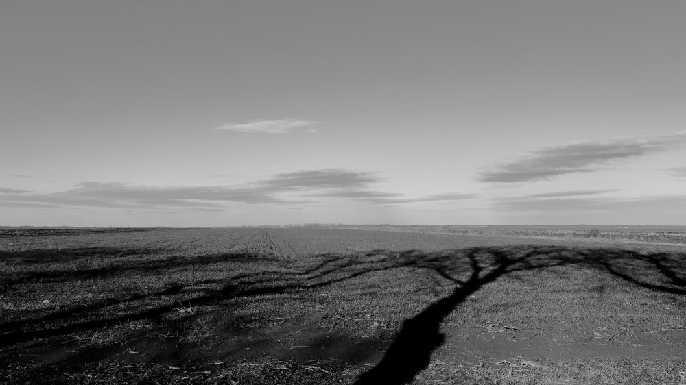 Photograph by Евгений Русу