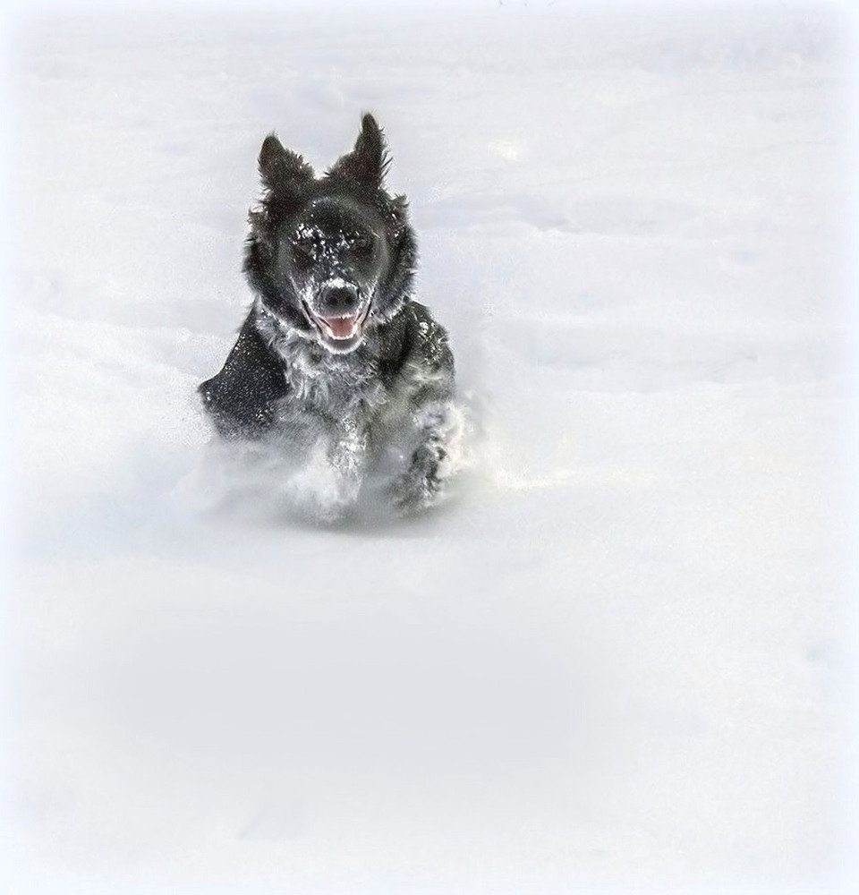 Энерджайзер