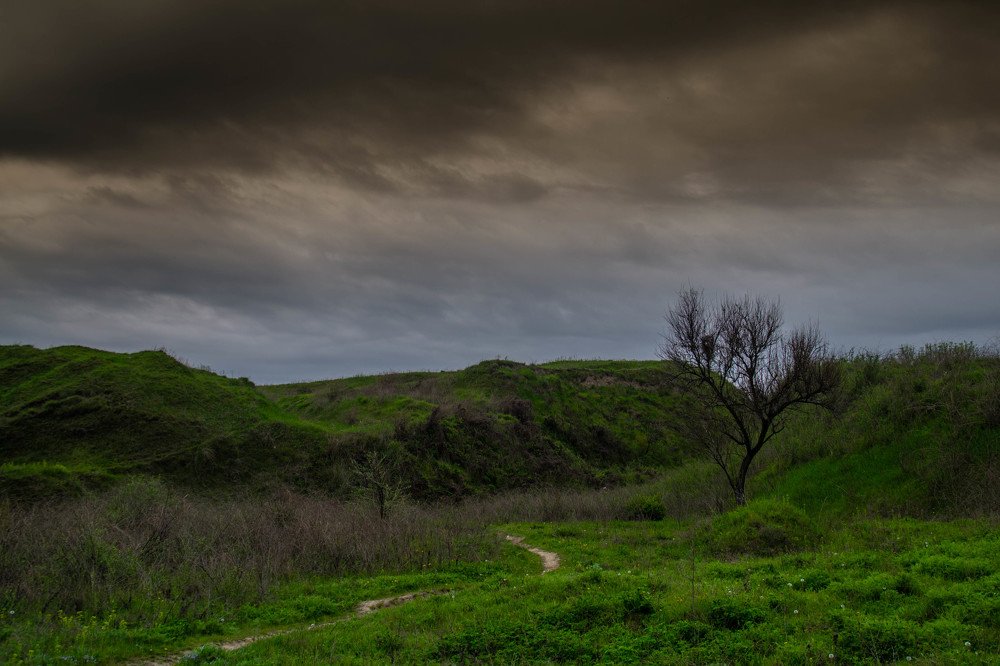 Весеннее ненастье ...