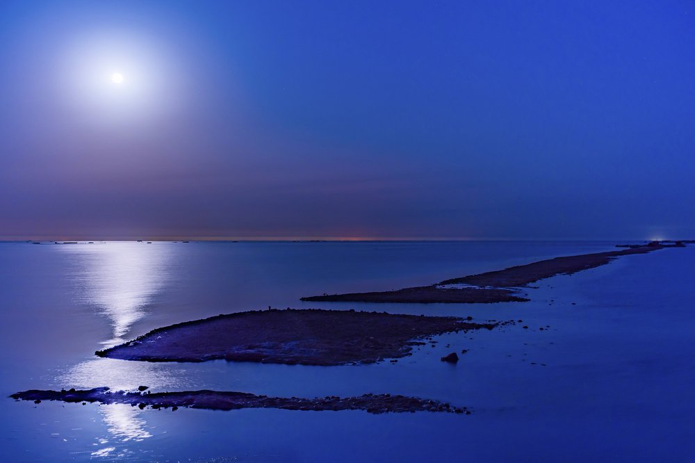 Photograph by Morteza Hekmat Maram