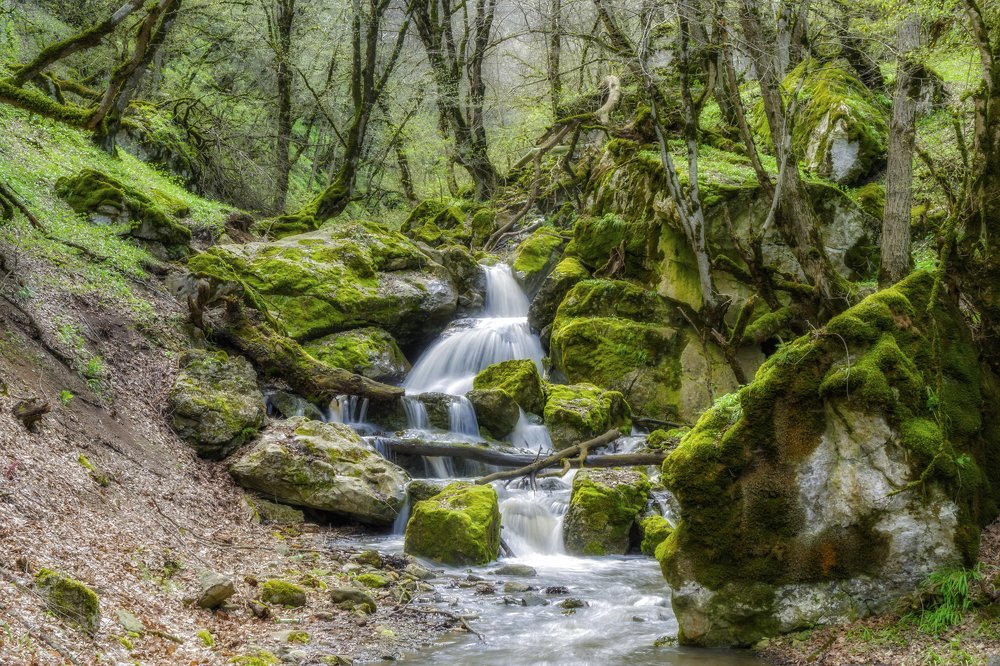 50 оттенков зеленого