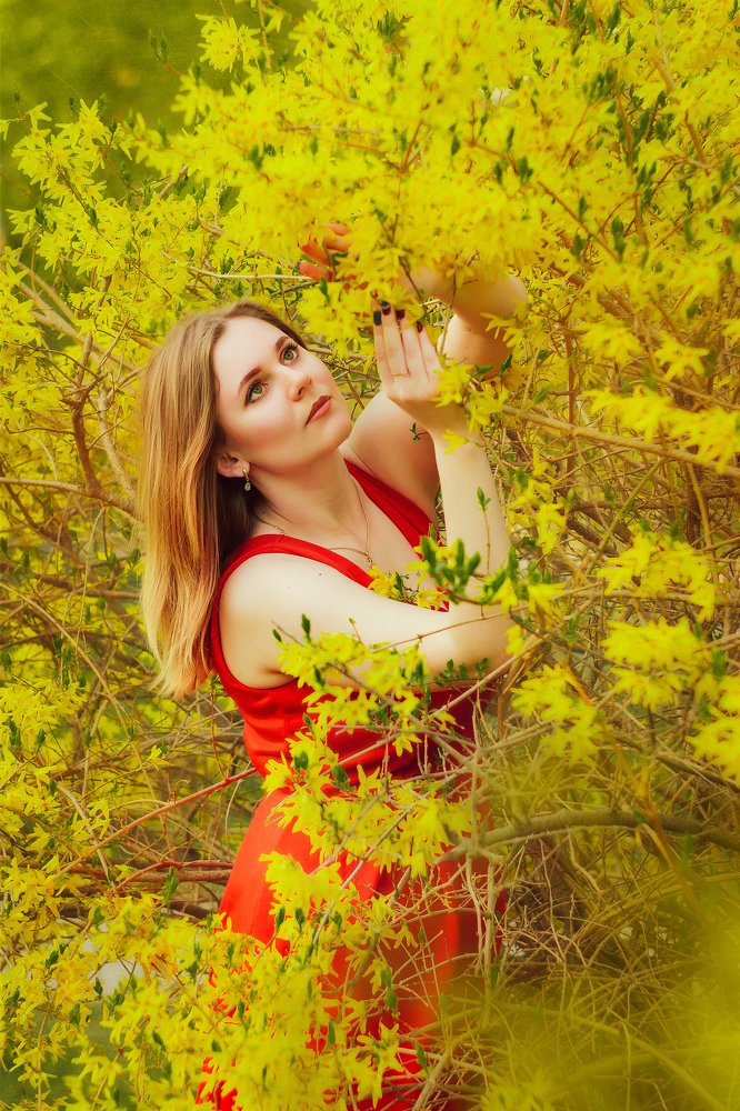 Тёплый жёлтый