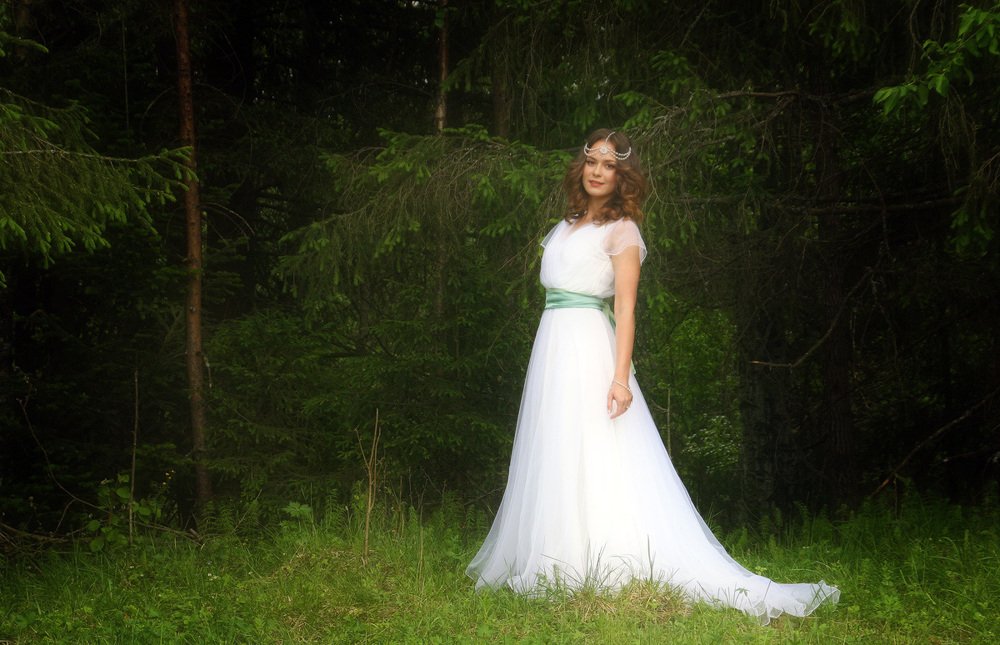 Однажды в дремучем лесу...