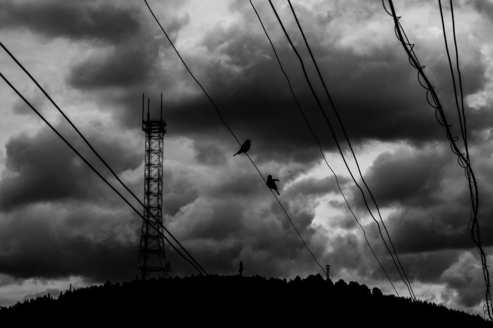 Photograph by Елена Пигалева