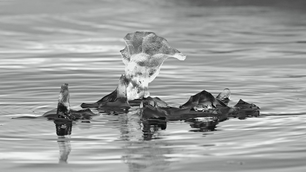 Photograph by Иван Старостин