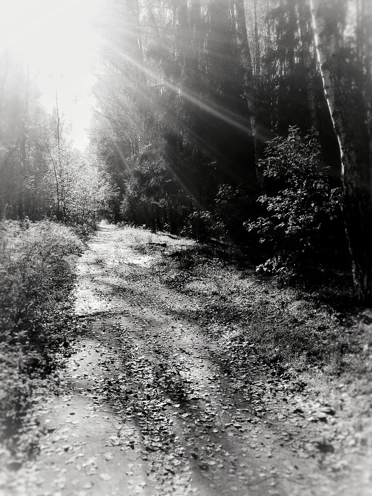 Photograph by Людмила М