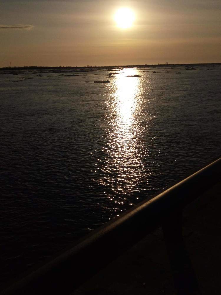 Photograph by Anna Makogonova