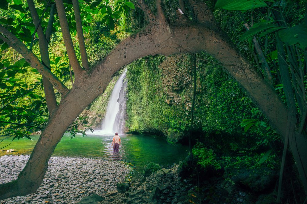 natural beauty with green waterfalls