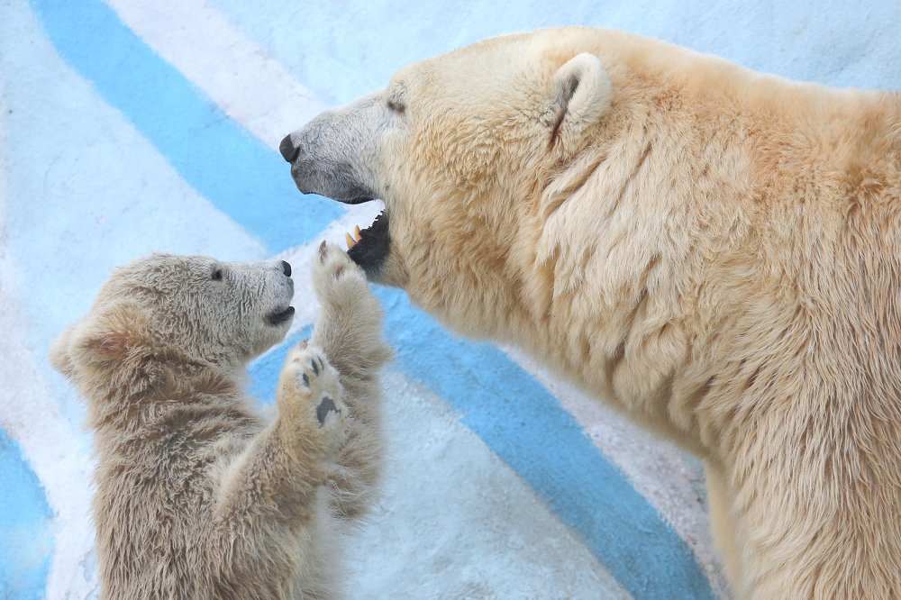 Talk to me, Mama!