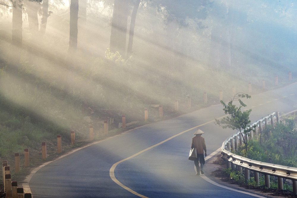 step under the morning sun