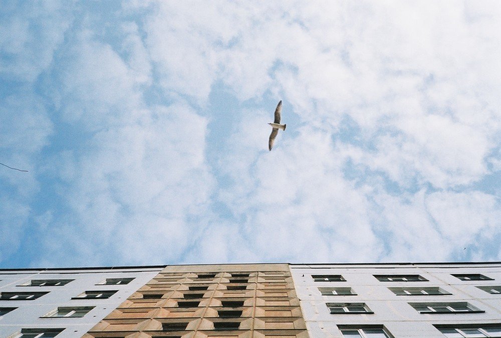 Photo #3185407