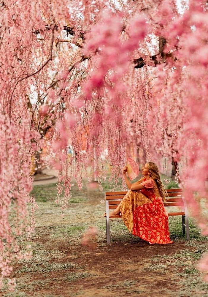 японские мотивы