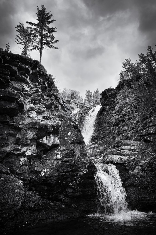 На севере диком ...