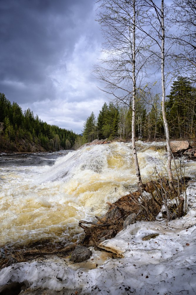 Вешние воды.