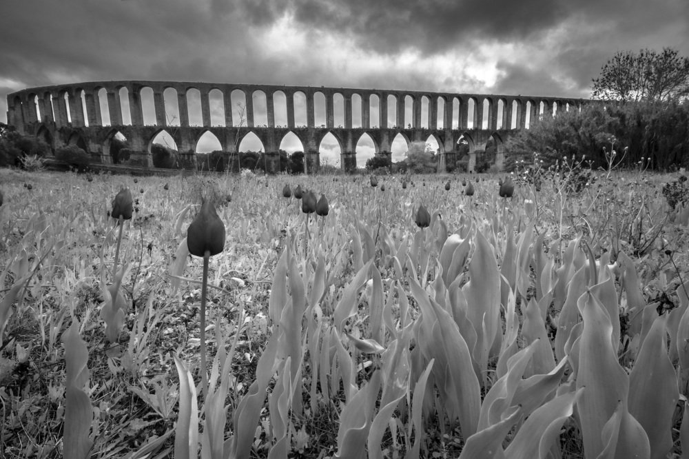 Aqueduto dos Pegões