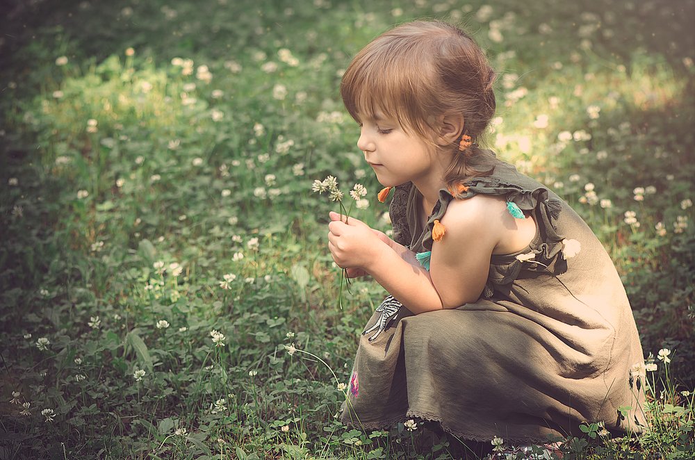 На лесной полянке