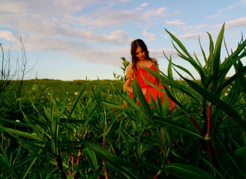 Photograph by Алексей Митрофанов