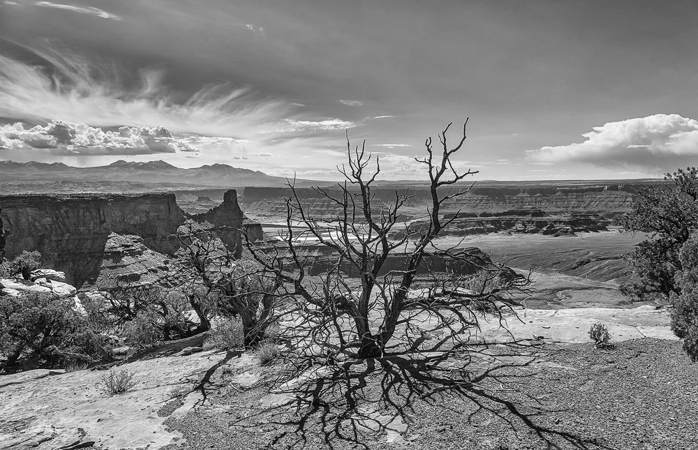 на почве зноем опаленной