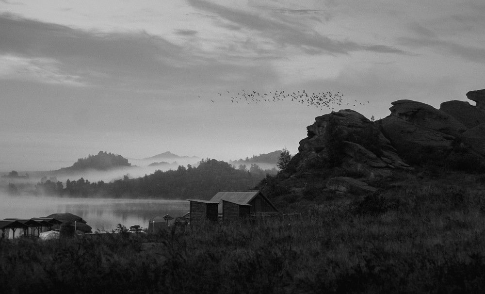 Тревожное утро