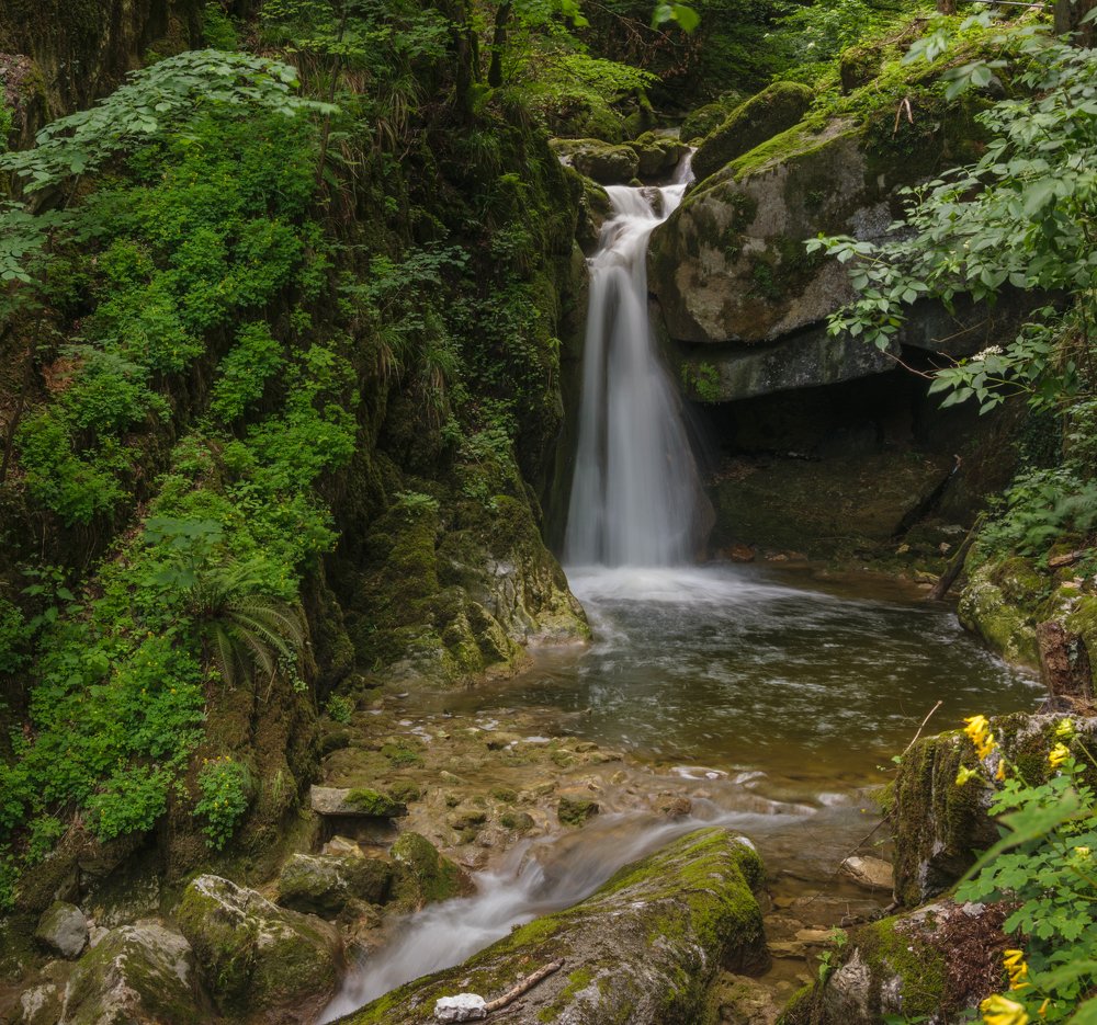 Photograph by Natalia