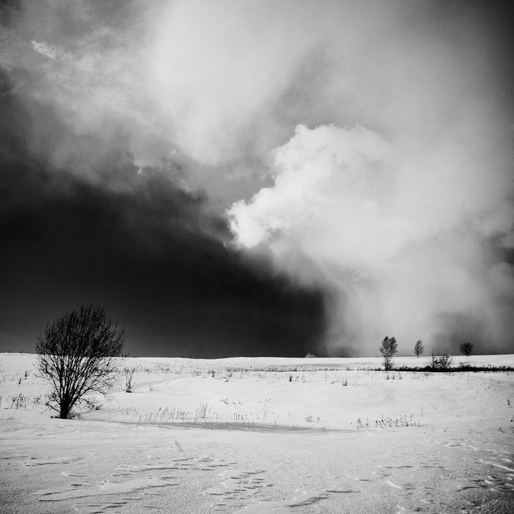 Между роскошью и тоской