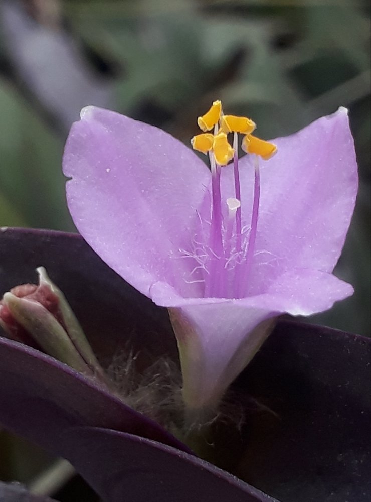 Macro work with mobile