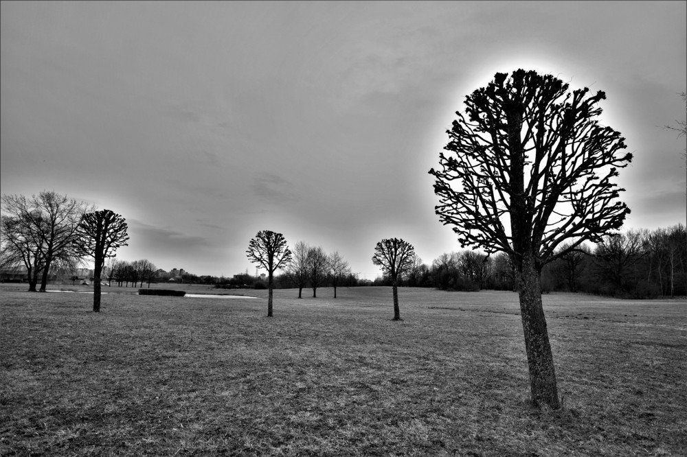 Холм памяти